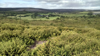 The Burren