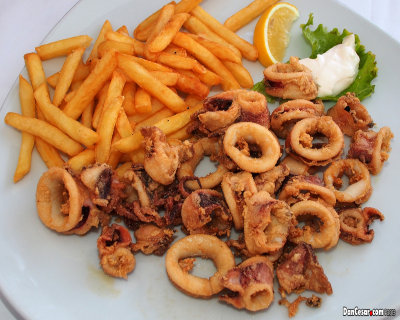 Fried Squid