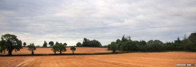 g9/06/296006/3/151763759.iZOzhrn0.jpg