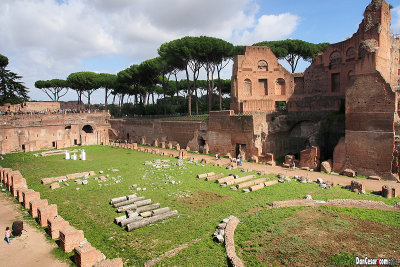 The Flavian Palace