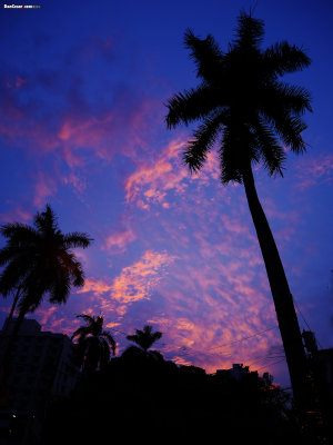 Sunset in Panama