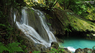 Kawasan Falls