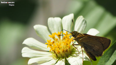 The Beauty of Nature