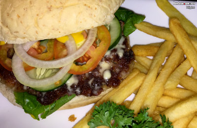 Cheeseburger & Fries 