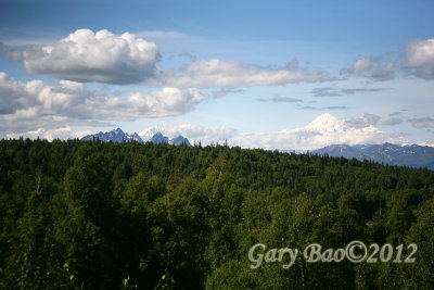 IMG_0998.jpg