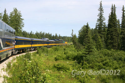 IMG_1211.jpg