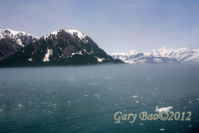 IMG_1396.jpg