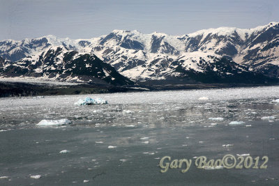 IMG_1441.jpg