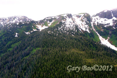 IMG_1527.jpg