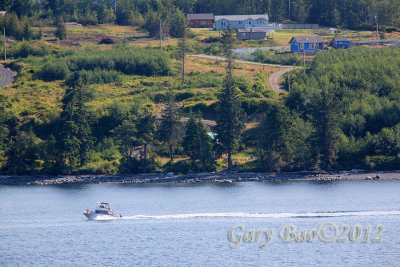 IMG_2117.jpg