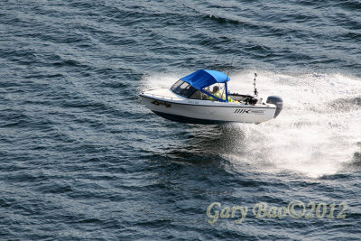 IMG_2148.jpg