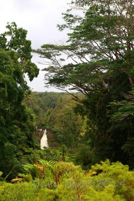 0E0H0479.jpg