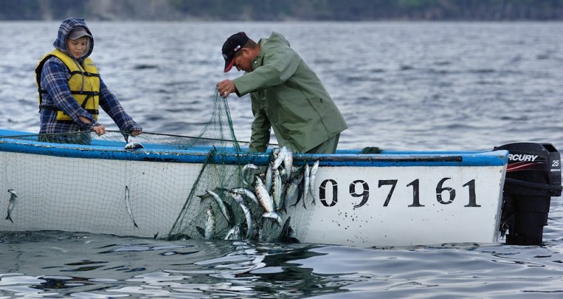 DSC01420 - Bounty From The Sea**WINNER**