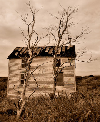 Abandoned House in Keels, Newfoundland<br>**WINNER**