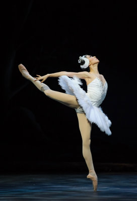 Swan Lake 2013