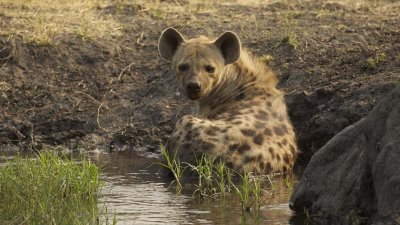 Cooling off