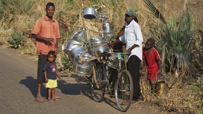 Mfuwe scene