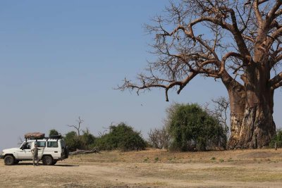 Our vehicle with baobab