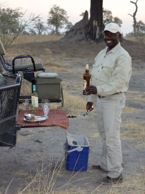 Amarula sundowers at last!