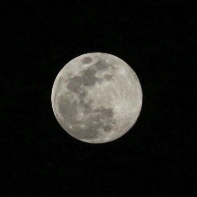 Full moon with Kalulu the rabbit