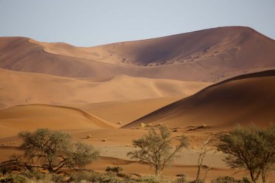Varying dune landscapes