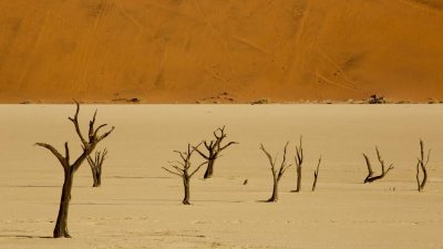 Dead Vlei