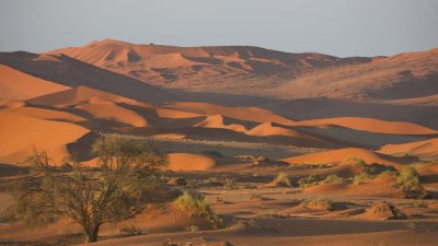 Dunes at sunset