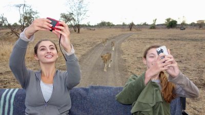 Selfies with lions!