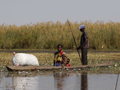 A bag of fish being carried via mokorro