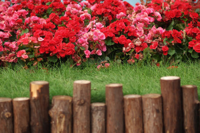 g9/06/4106/3/159558354.6d0rZDEO.jpg