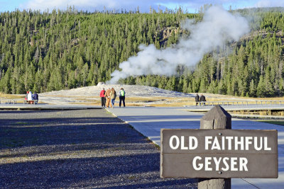 Old Faithful