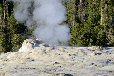 Old Faithful 