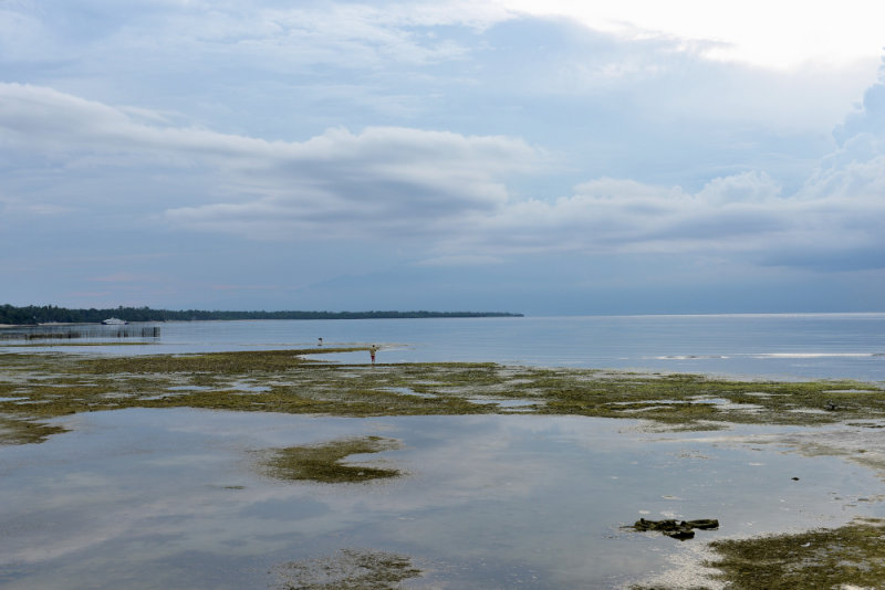 Seascape      DSC_0057.JPG