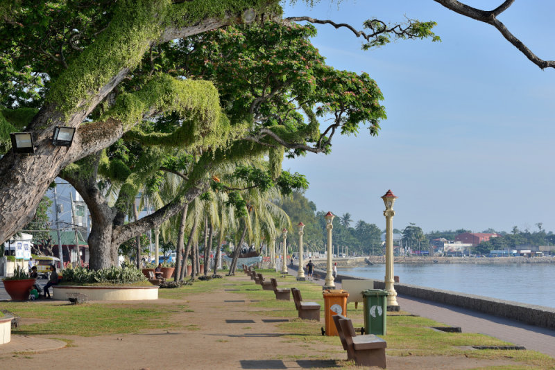 The Boulevard    DSC_9955.JPG