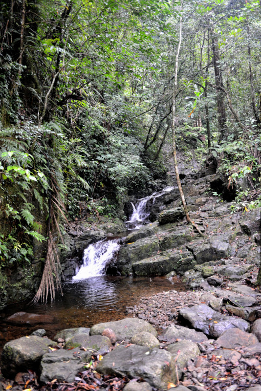 DSC_9966.JPG