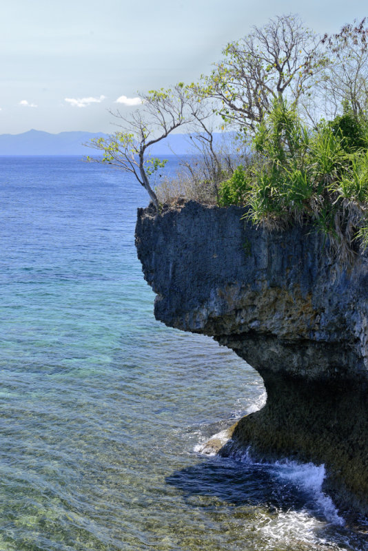_DSC4631.JPG  Agpanabat