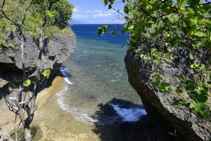 _DSC4628.JPG  Agpanabat