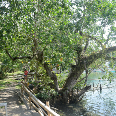 Taguines Lagoon DSC_8923.JPG