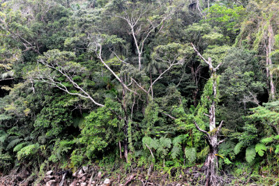 Balinsasayao DSC_9883.JPG
