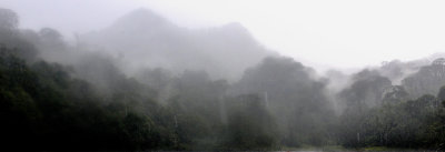 Mt. Guidabon, Balinsasayao DSC_9972.JPG