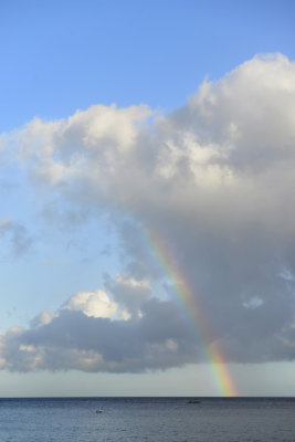 _DSC1126.JPG Somewhere under the rainbow...