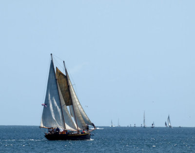 Festival of Sail