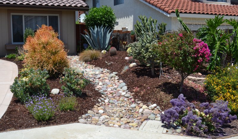 Front Yard Photo 2013