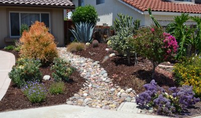 Front Yard Photo 2013