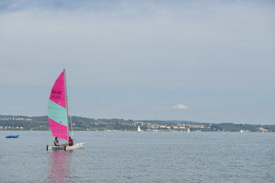 _AS07407.jpg