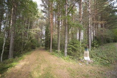 g9/06/462406/3/152624409.TSuL8M8Q.jpg