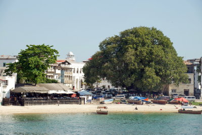 The Mercury restaurant next to the reffry pier as Freddie Mercury spent his youth in Stonetown. Next to it is the old tree.