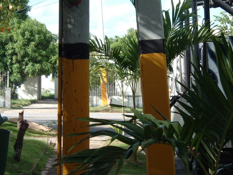 DSCF0100.JPG
