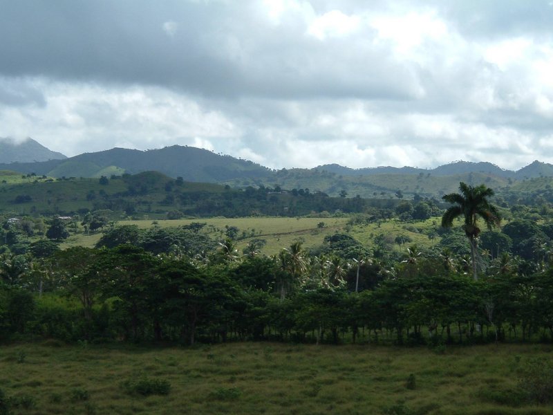 DSCF0102.JPG