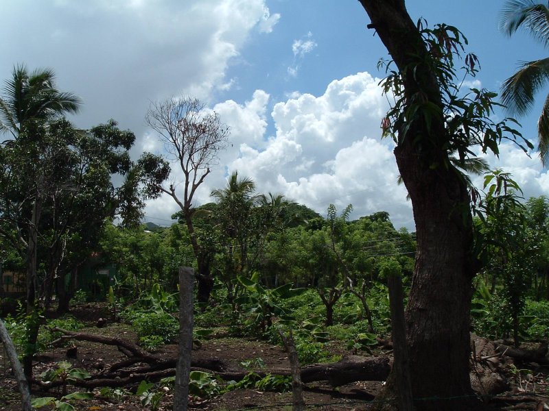 DSCF0113.JPG